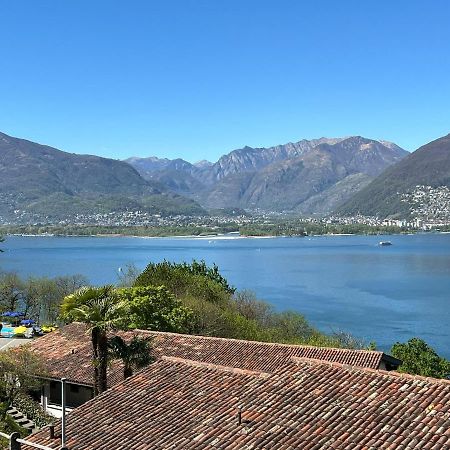 1 Zimmer Apartment Mit Seesicht Und Pool Gambarogno Luaran gambar