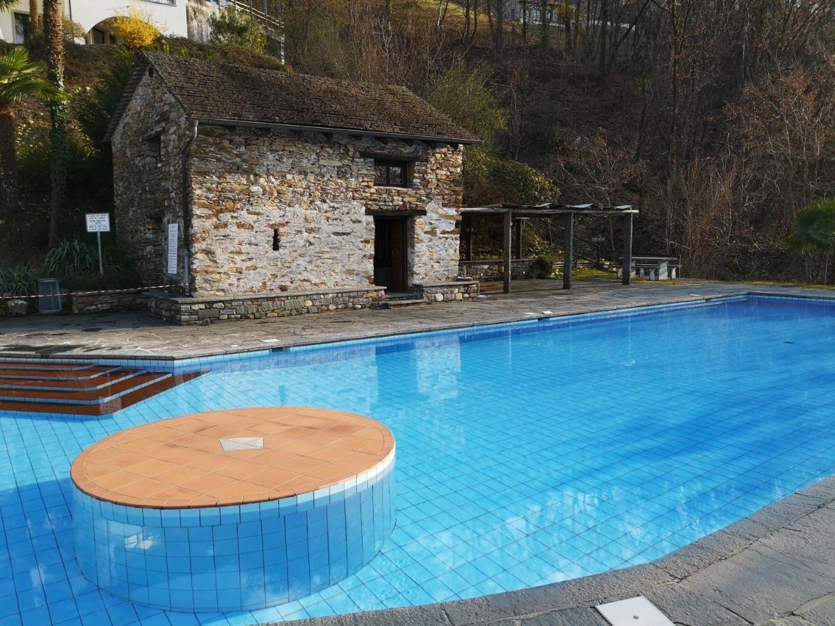 1 Zimmer Apartment Mit Seesicht Und Pool Gambarogno Luaran gambar