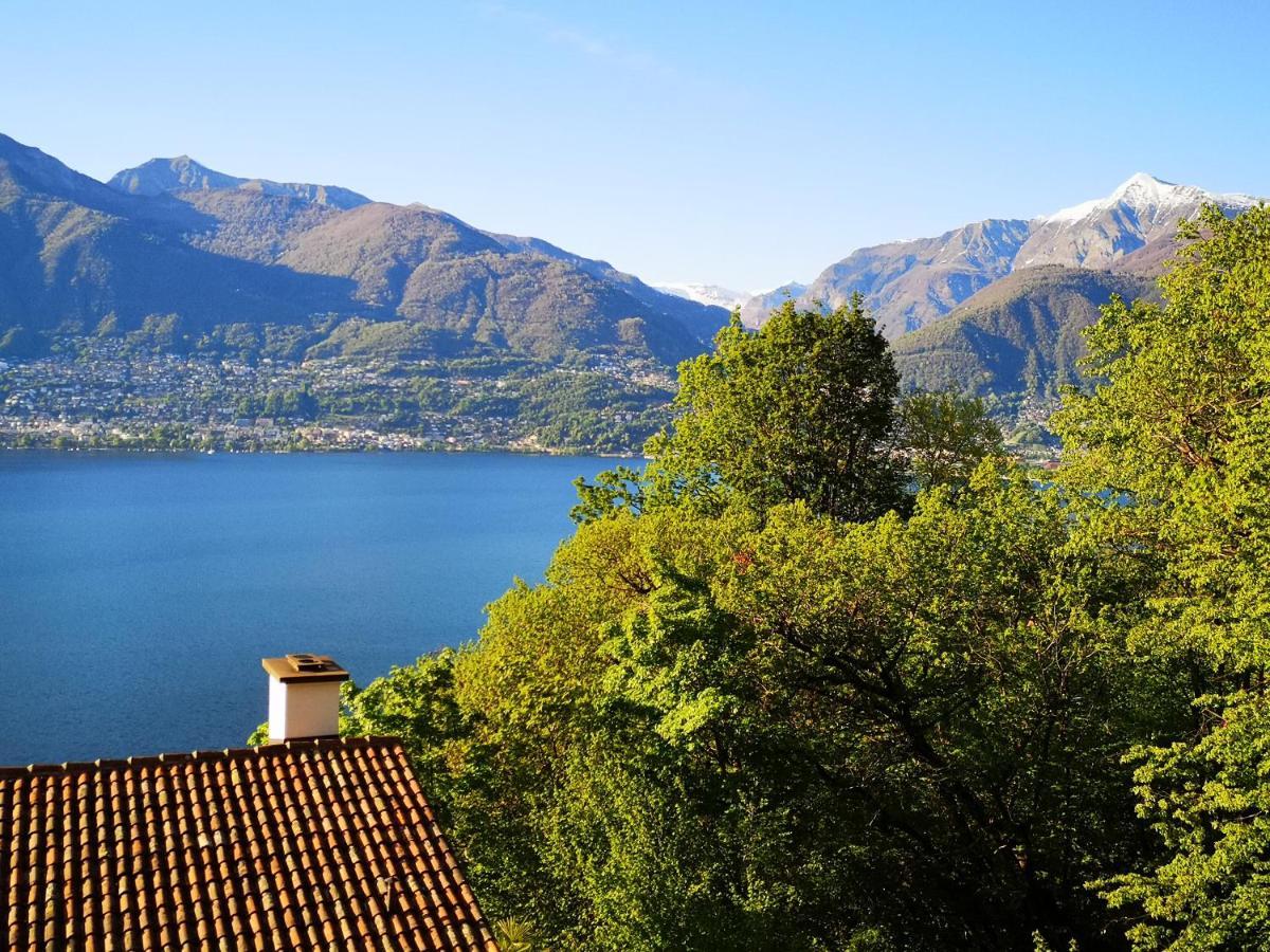 1 Zimmer Apartment Mit Seesicht Und Pool Gambarogno Luaran gambar