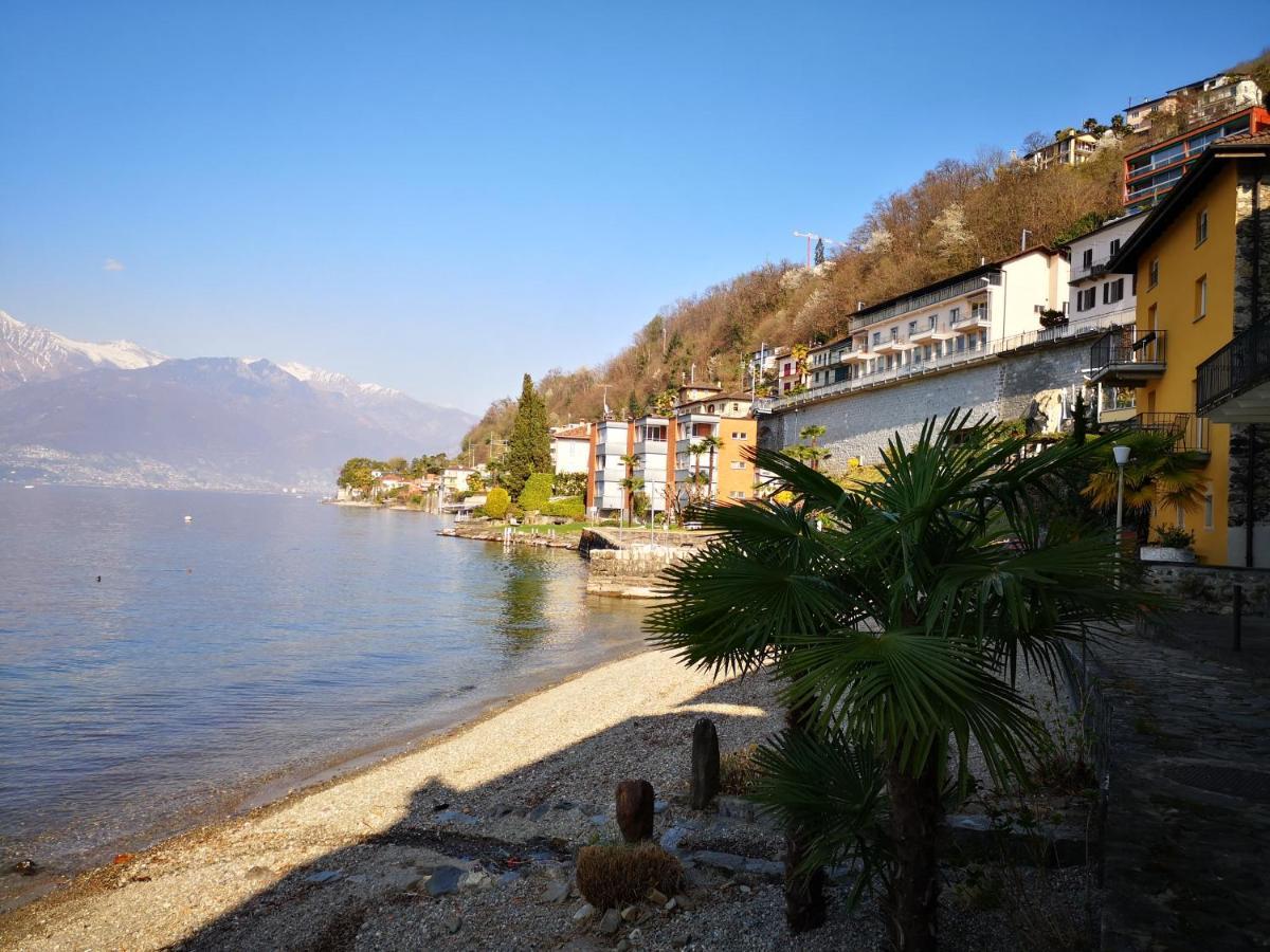 1 Zimmer Apartment Mit Seesicht Und Pool Gambarogno Luaran gambar