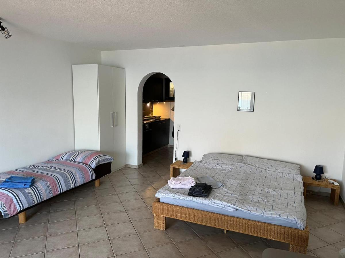 1 Zimmer Apartment Mit Seesicht Und Pool Gambarogno Luaran gambar